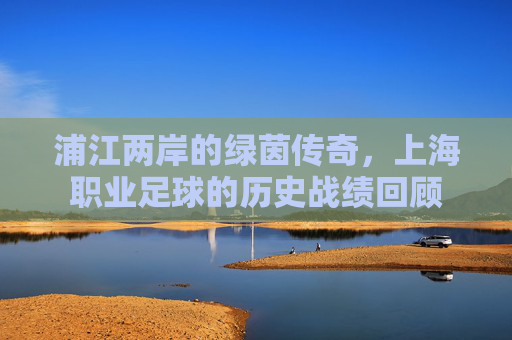 浦江两岸的绿茵传奇,上海职业足球的历史战绩回顾