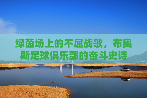 绿茵场上的不屈战歌，布奥斯足球俱乐部的奋斗史诗