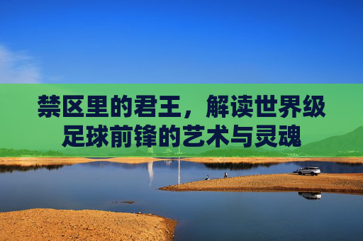 禁区里的君王,解读世界级足球前锋的艺术与灵魂