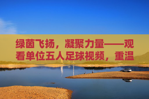 绿茵飞扬,凝聚力量——观看单位五人足球视频,重温热血赛场