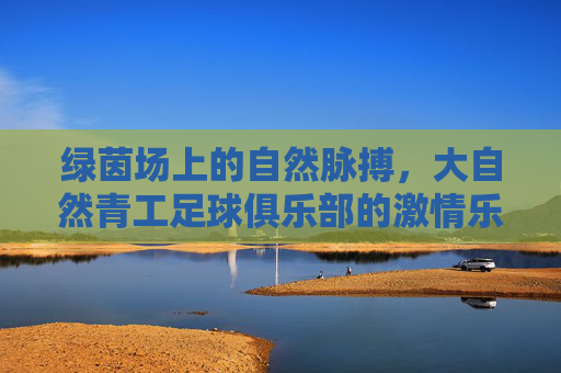 绿茵场上的自然脉搏，大自然青工足球俱乐部的激情乐章