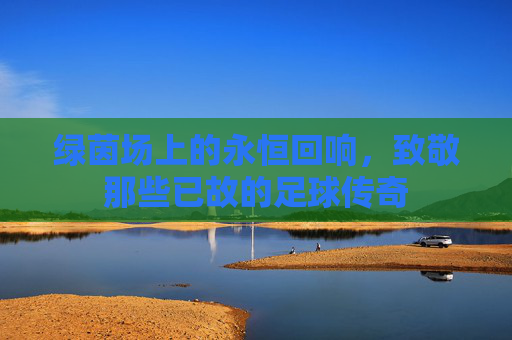 绿茵场上的永恒回响，致敬那些已故的足球传奇