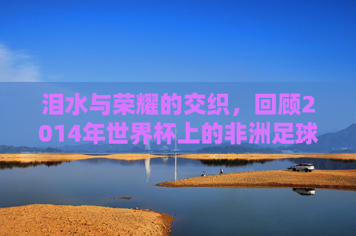 泪水与荣耀的交织,回顾2014年世界杯上的非洲足球队