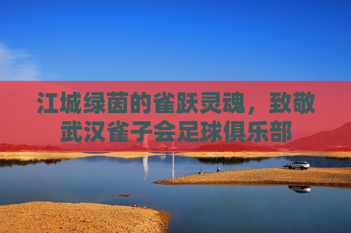江城绿茵的雀跃灵魂，致敬武汉雀子会足球俱乐部