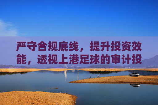 严守合规底线,提升投资效能,透视上港足球的审计投入之道