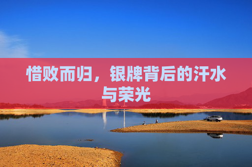 惜败而归,银牌背后的汗水与荣光