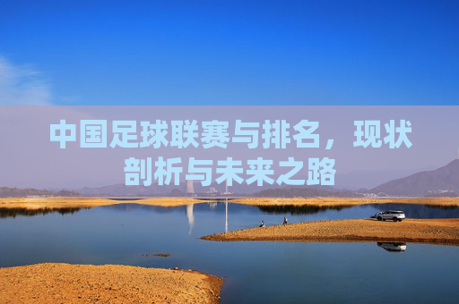中国足球联赛与排名,现状剖析与未来之路