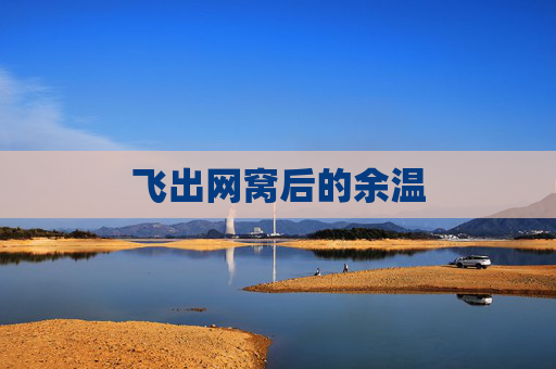 飞出网窝后的余温