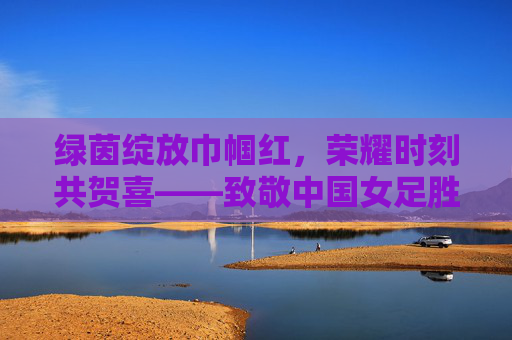 绿茵绽放巾帼红，荣耀时刻共贺喜——致敬中国女足胜利明星
