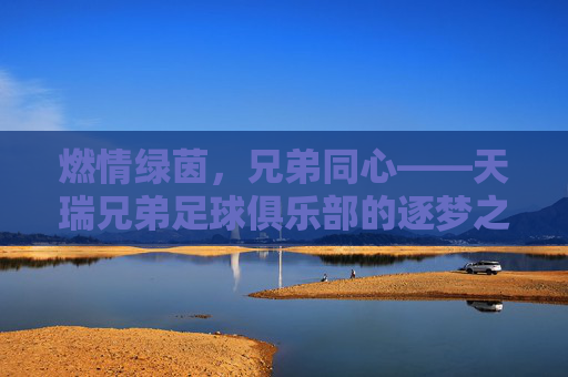 燃情绿茵,兄弟同心——天瑞兄弟足球俱乐部的逐梦之旅