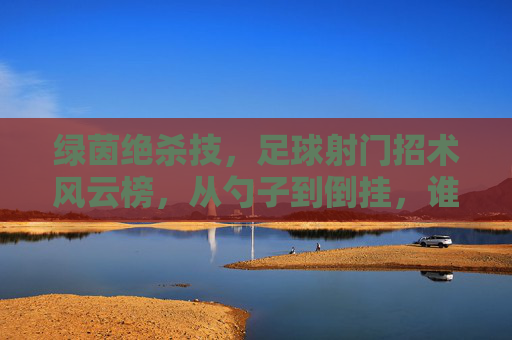 绿茵绝杀技，足球射门招术风云榜，从勺子到倒挂，谁才是真正的射手之王？