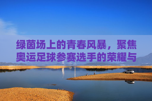 绿茵场上的青春风暴,聚焦奥运足球参赛选手的荣耀与挑战