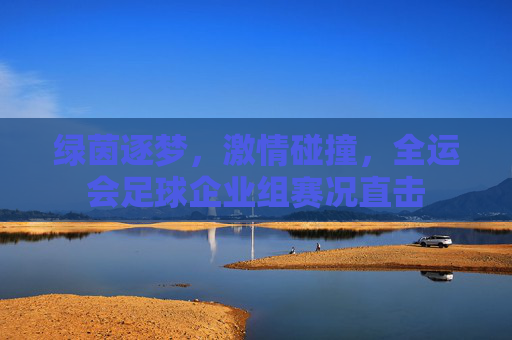 绿茵逐梦,激情碰撞,全运会足球企业组赛况直击
