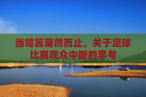 当喧嚣戛然而止,关于足球比赛观众中断的思考