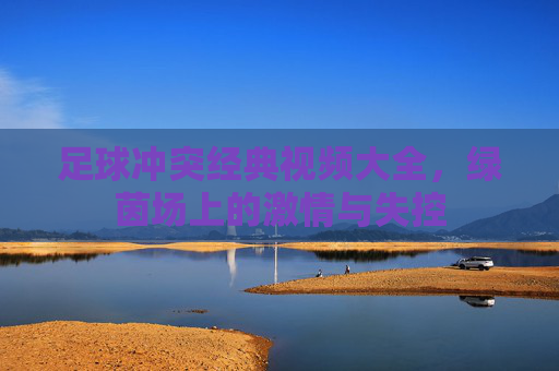 足球冲突经典视频大全,绿茵场上的激情与失控