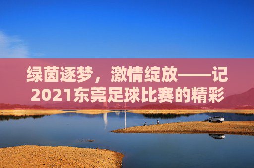 绿茵逐梦,激情绽放——记2021东莞足球比赛的精彩瞬间与城市温度
