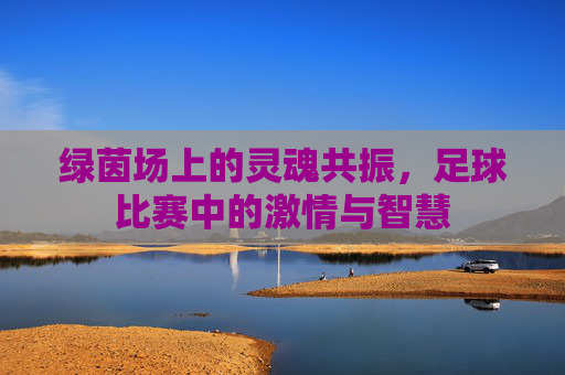 绿茵场上的灵魂共振,足球比赛中的激情与智慧