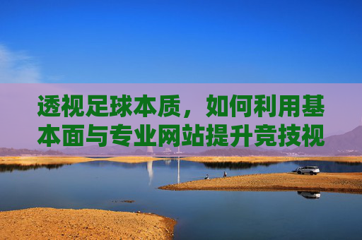 透视足球本质,如何利用基本面与专业网站提升竞技视野