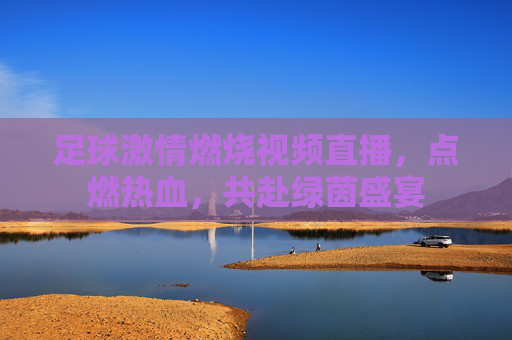 足球激情燃烧视频直播,点燃热血,共赴绿茵盛宴