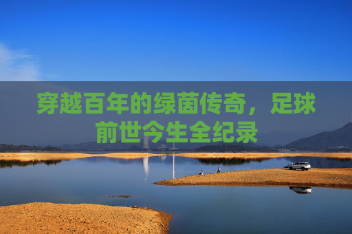穿越百年的绿茵传奇,足球前世今生全纪录
