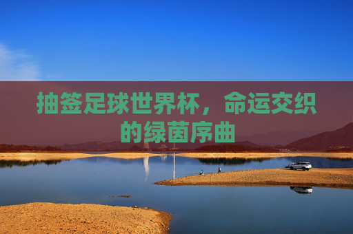 抽签足球世界杯,命运交织的绿茵序曲