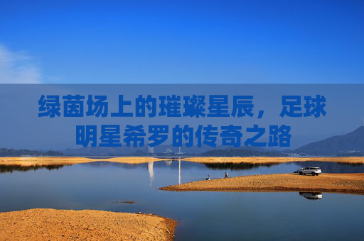 绿茵场上的璀璨星辰,足球明星希罗的传奇之路