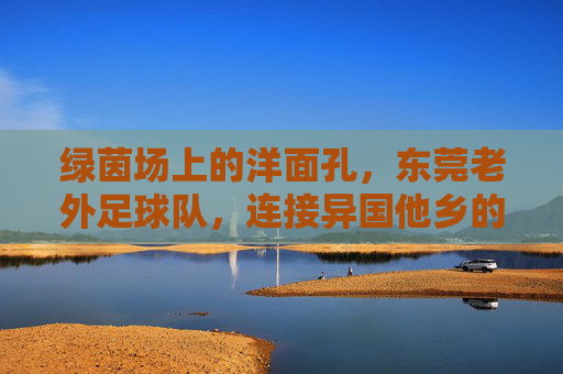 绿茵场上的洋面孔,东莞老外足球队,连接异国他乡的足球情缘