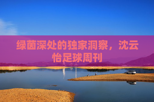 绿茵深处的独家洞察,沈云怡足球周刊