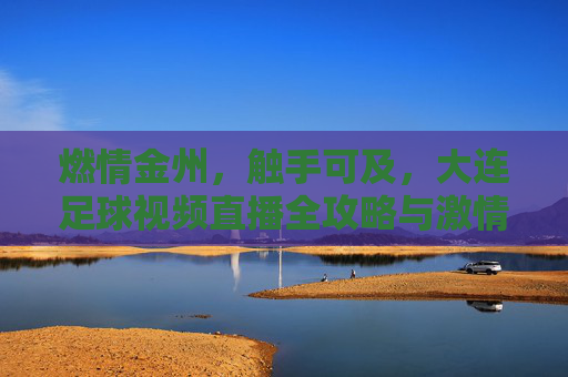 燃情金州，触手可及，大连足球视频直播全攻略与激情回顾