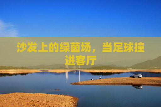 沙发上的绿茵场,当足球撞进客厅