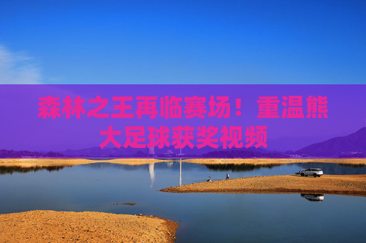 森林之王再临赛场!重温熊大足球获奖视频