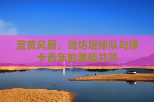 蓝黄风暴,潍坊足球队与博卡青年的激情共鸣