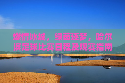 燃情冰城,绿茵逐梦,哈尔滨足球比赛日程及观赛指南