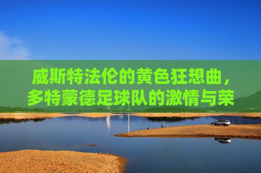 威斯特法伦的黄色狂想曲,多特蒙德足球队的激情与荣耀