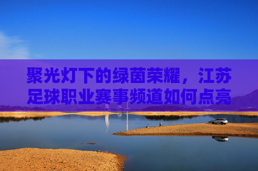 聚光灯下的绿茵荣耀,江苏足球职业赛事频道如何点亮本土激情
