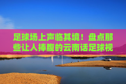 足球场上声临其境!盘点那些让人捧腹的云南话足球视频大全