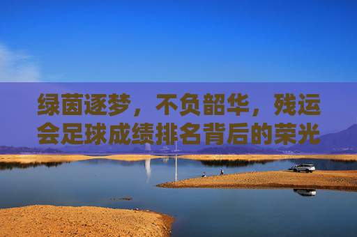 绿茵逐梦,不负韶华,残运会足球成绩排名背后的荣光与汗水