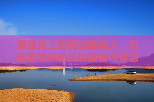 绿茵场上的灵魂摆渡人,名嘴足球评论员的激情与智慧