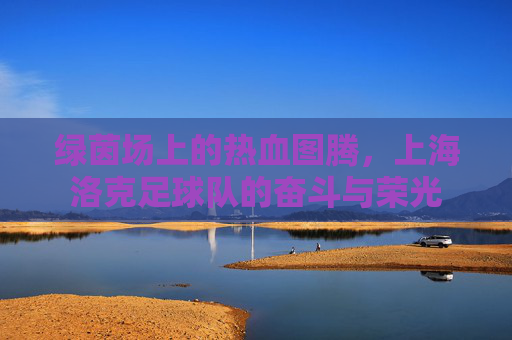 绿茵场上的热血图腾,上海洛克足球队的奋斗与荣光
