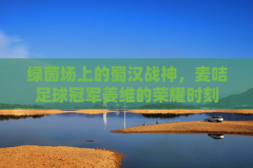 绿茵场上的蜀汉战神,麦咭足球冠军姜维的荣耀时刻
