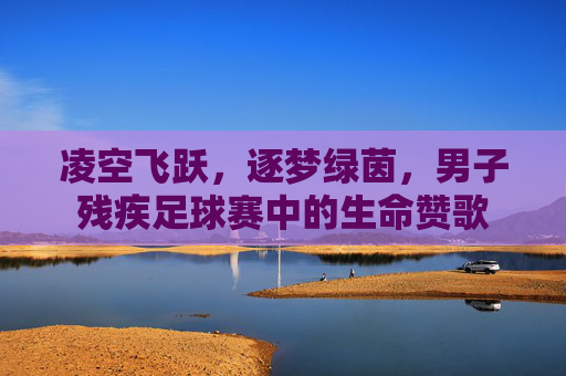 凌空飞跃,逐梦绿茵,男子残疾足球赛中的生命赞歌