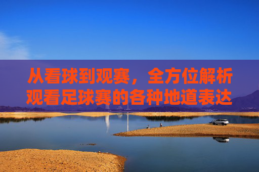 从看球到观赛，全方位解析观看足球赛的各种地道表达