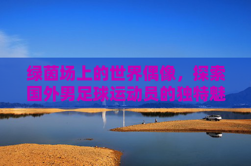 绿茵场上的世界偶像，探索国外男足球运动员的独特魅力与传奇之路