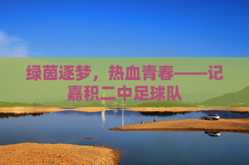 绿茵逐梦,热血青春——记嘉积二中足球队