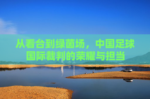 从看台到绿茵场,中国足球国际裁判的荣耀与担当