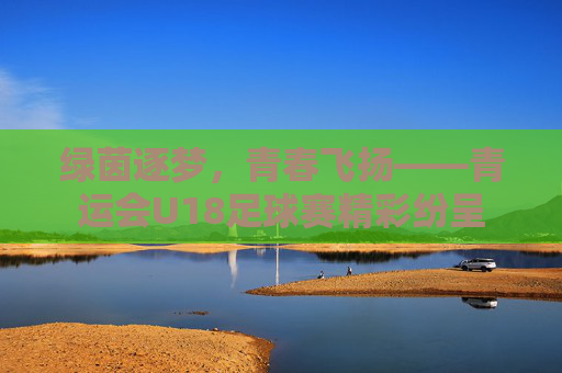 绿茵逐梦，青春飞扬——青运会U18足球赛精彩纷呈