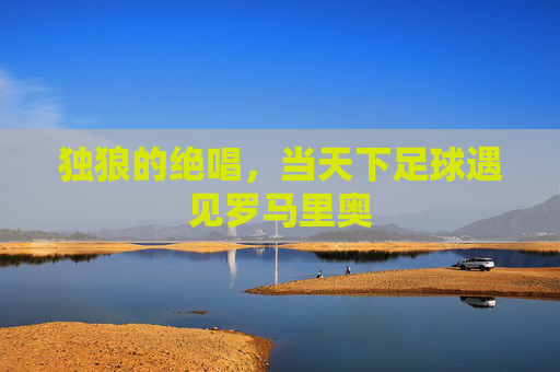 独狼的绝唱,当天下足球遇见罗马里奥