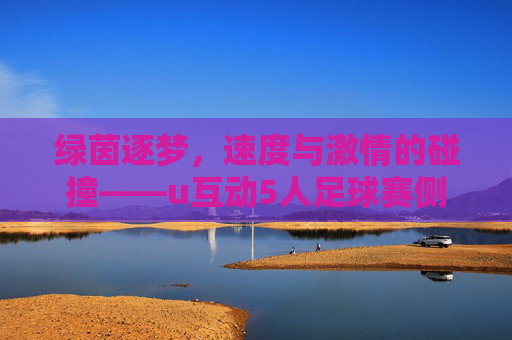 绿茵逐梦，速度与激情的碰撞——u互动5人足球赛侧记