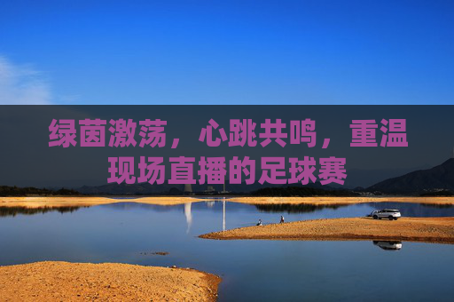 绿茵激荡，心跳共鸣，重温现场直播的足球赛
