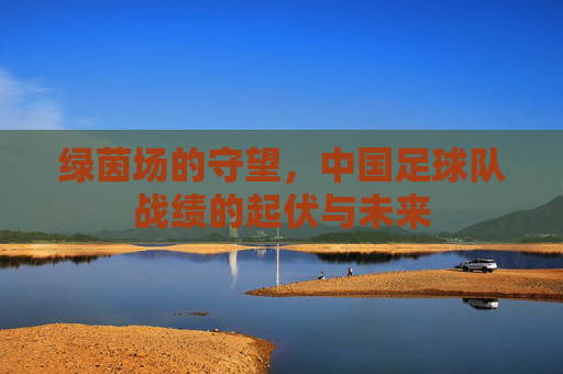 绿茵场的守望,中国足球队战绩的起伏与未来